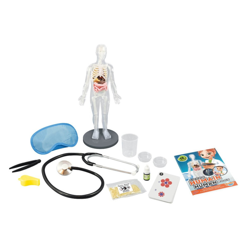 Lidské Tělo s Fonendoskopem| Vědecké Hračky KINT pro malé anatomy